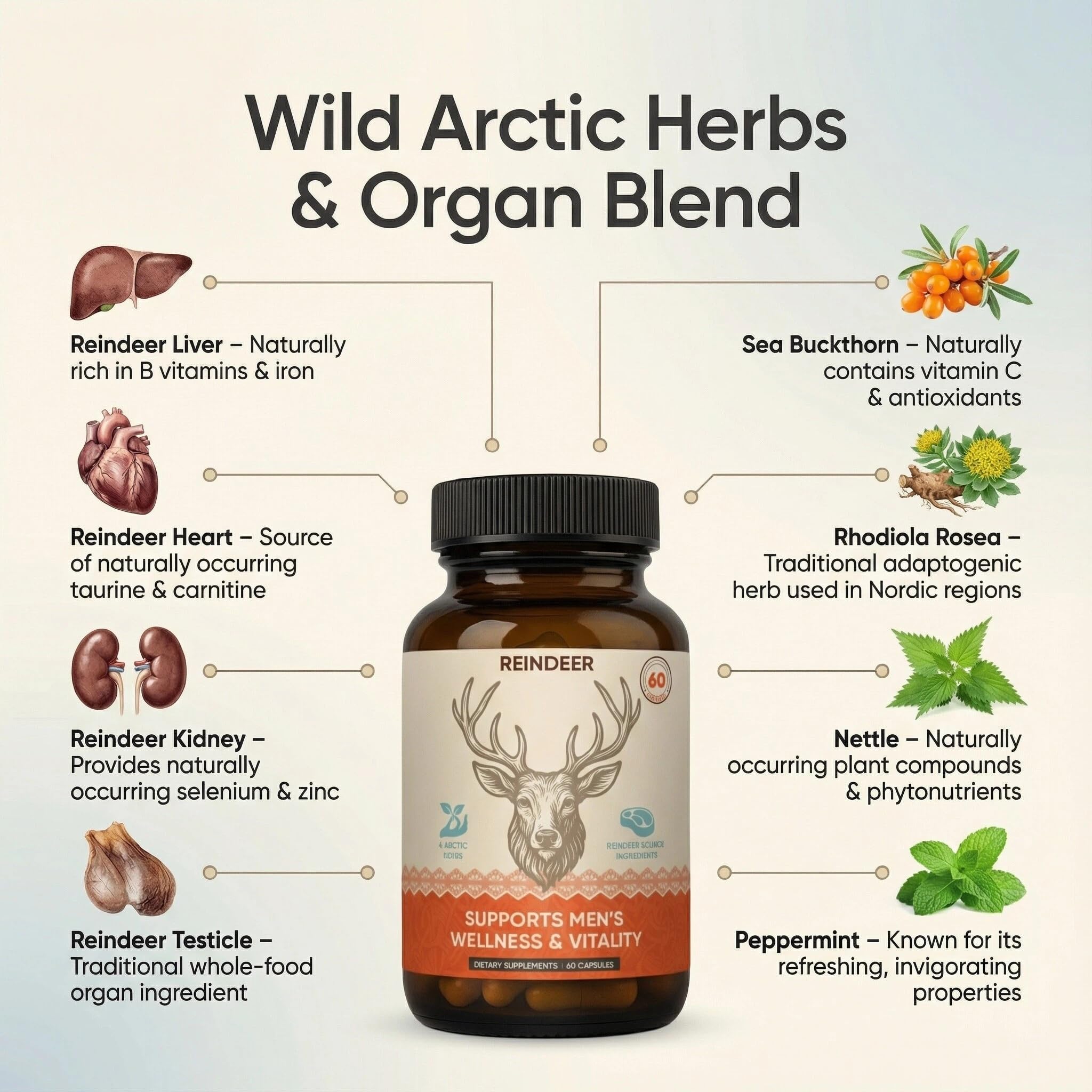 Zotreval ingredientes naturales: órganos de reno y botánicos árticos juntos