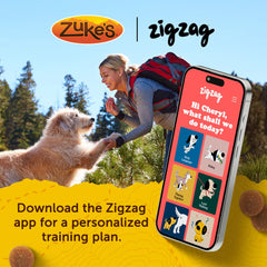 Zuke's en estilo de vida excursionista con perro, recompensa práctica