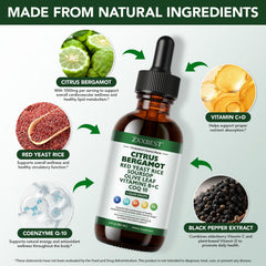 Etiqueta ZXXBEST con lista de ingredientes destacada para confianza