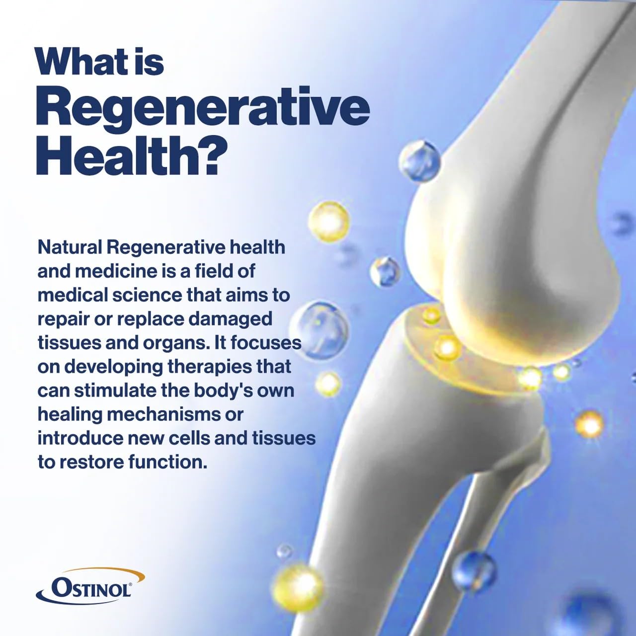 ZYCAL Ostinol comparación de tamaño con monedas, indica porción y portabilidad