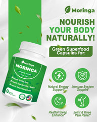 ZyliaVitaX polvo de moringa mostrando color y pureza vegetal